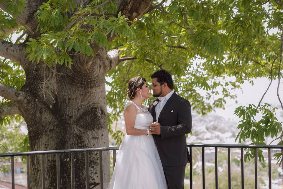 Trash the dress