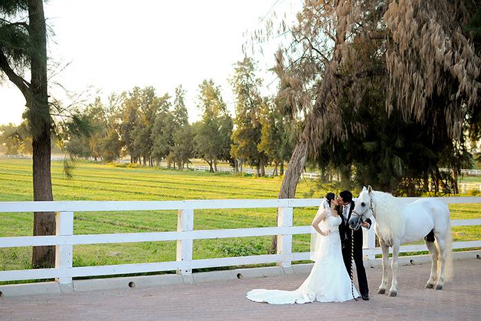 Boda en Navojoa Sonora