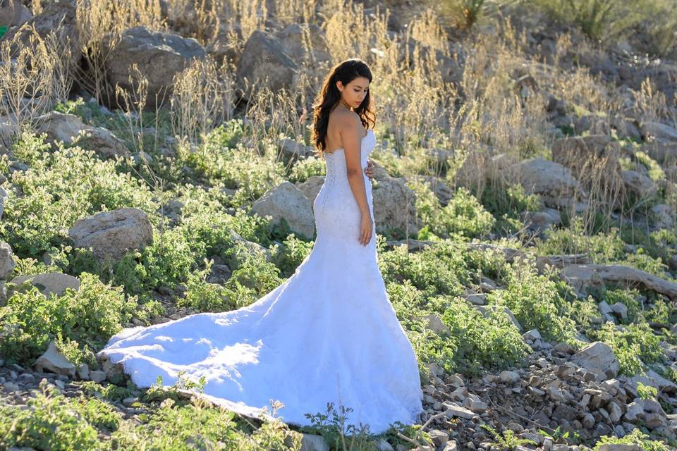 Sesion de bodas en Sonora