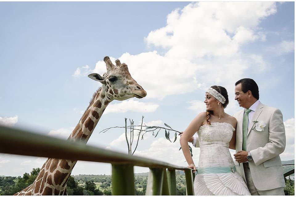 Boda en Africam Safari