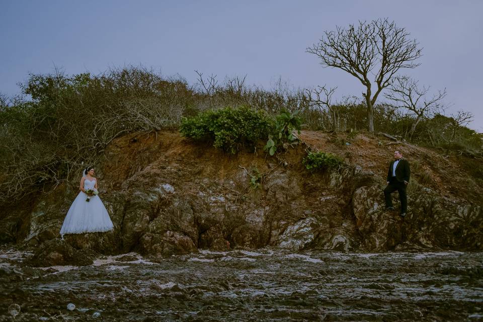 Trash the dress