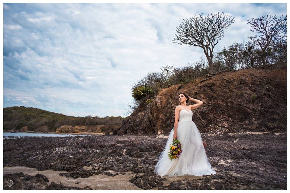 Trash the Dress