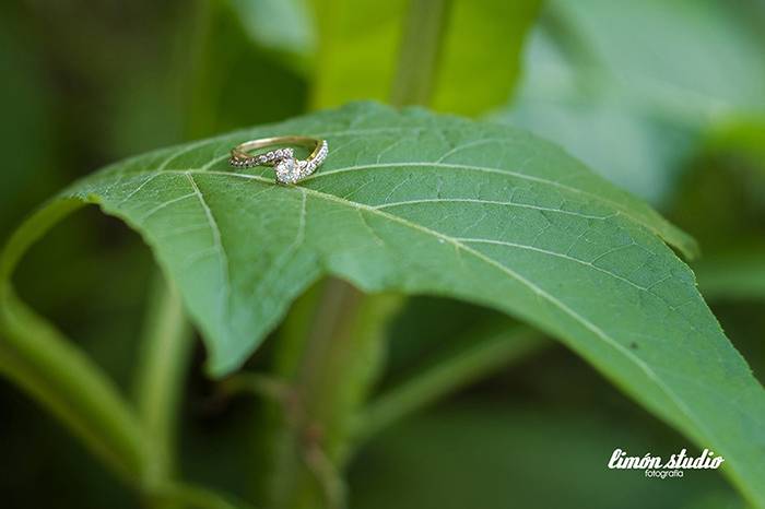 Limón Studio Fotografía