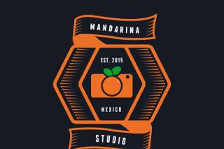 Mandarina studio logo