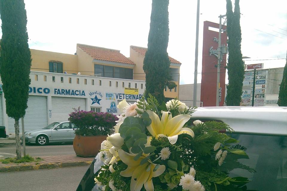 Florería Inova