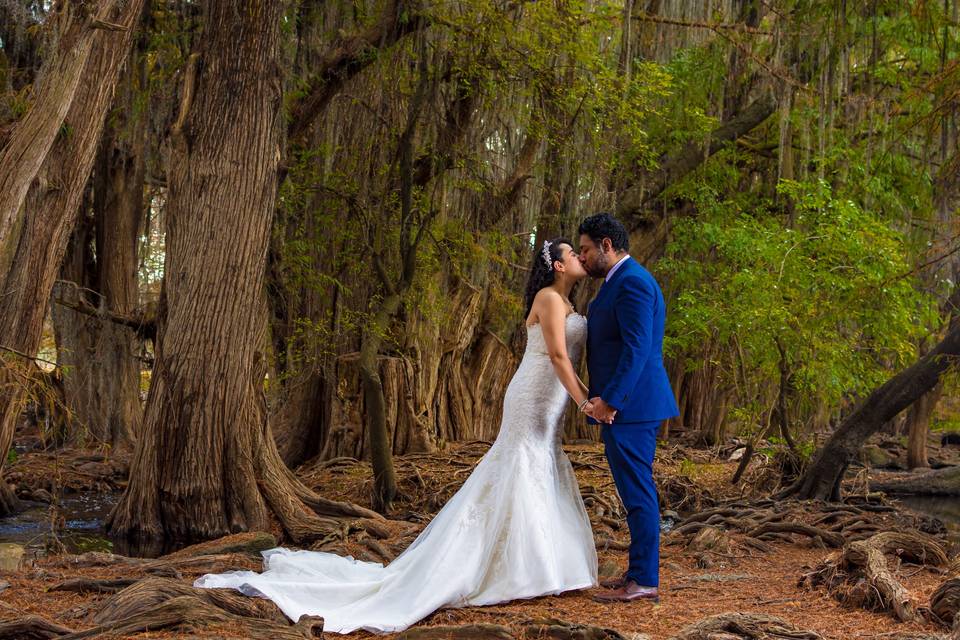 Trash the dress