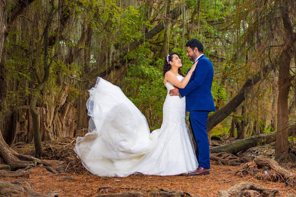 Trash the dress