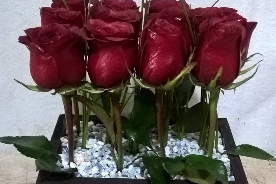 12 rosas