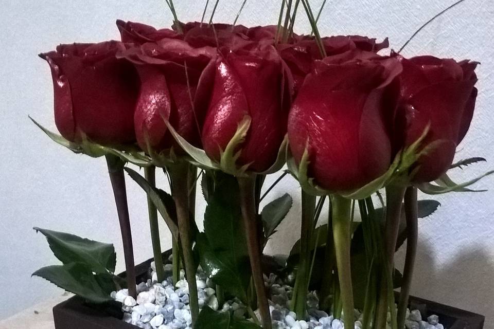 12 rosas