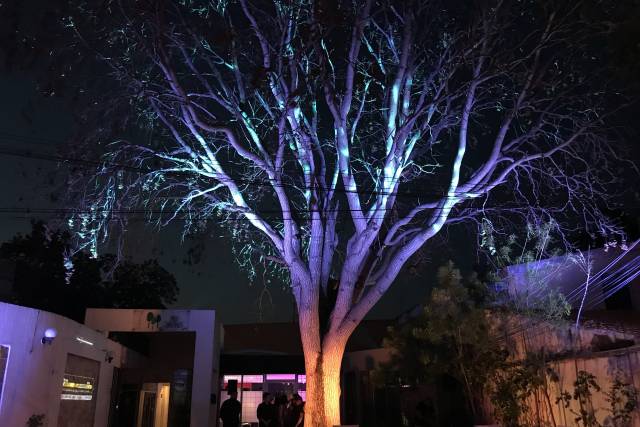 Ambientación LED