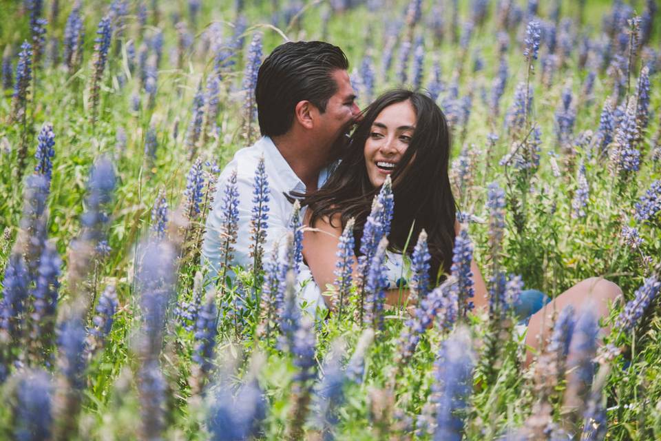 Engagement session en el bosque