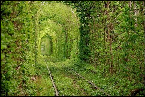 Tunel del amor, Ucrania