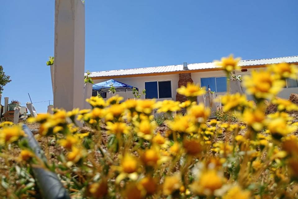 Cabaña el patron