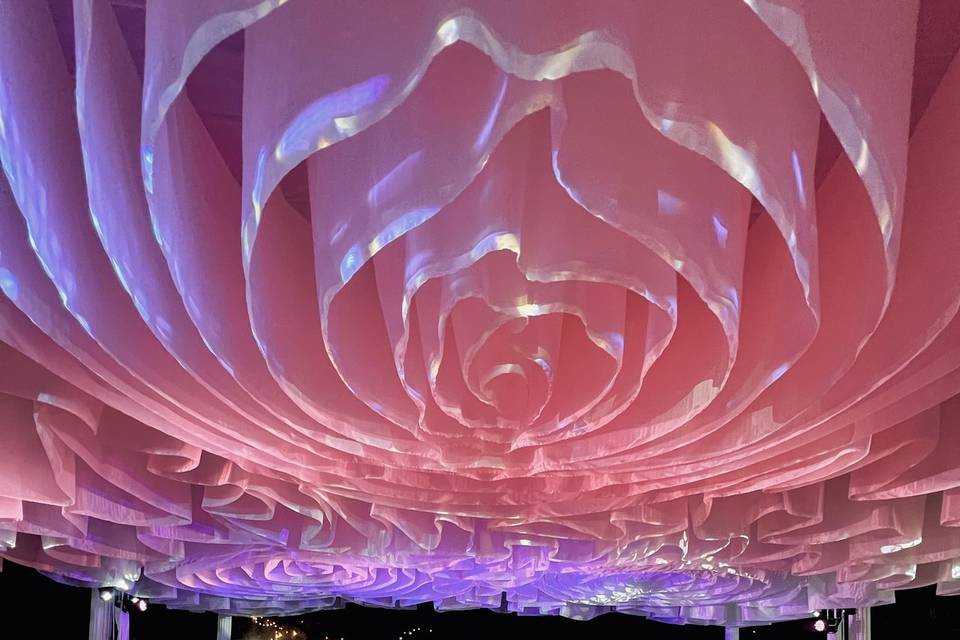 Entelado e iluminación