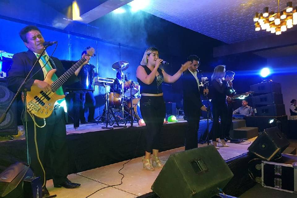 Solista, acústico, grupo