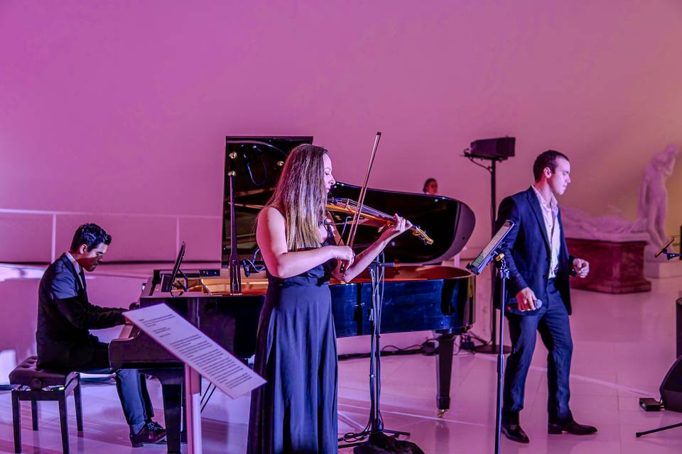 Música en vivo para cena