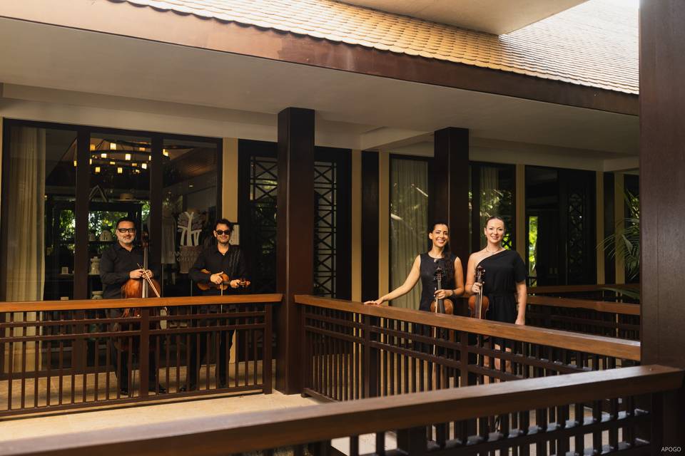 Músicos para bodas