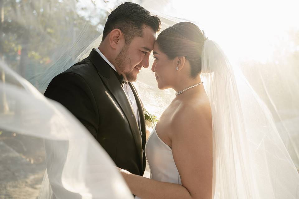 Velo de novia