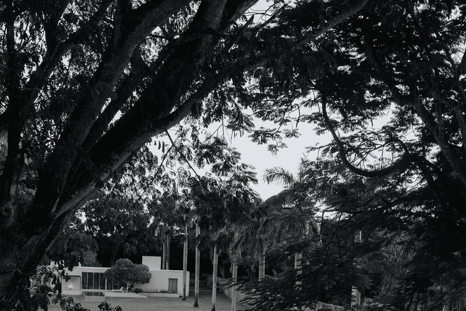 Montaje de boda