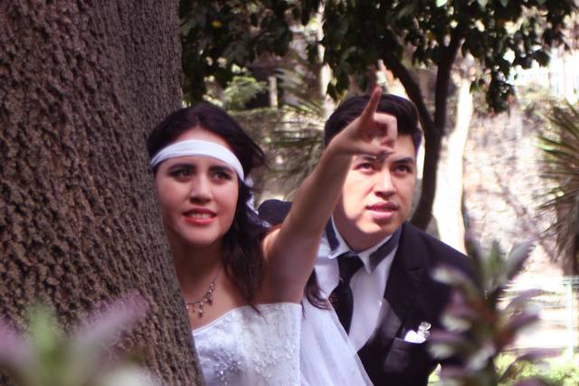 Novios