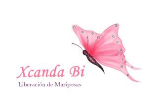 Xcánda Bi - Liberación de Mariposas