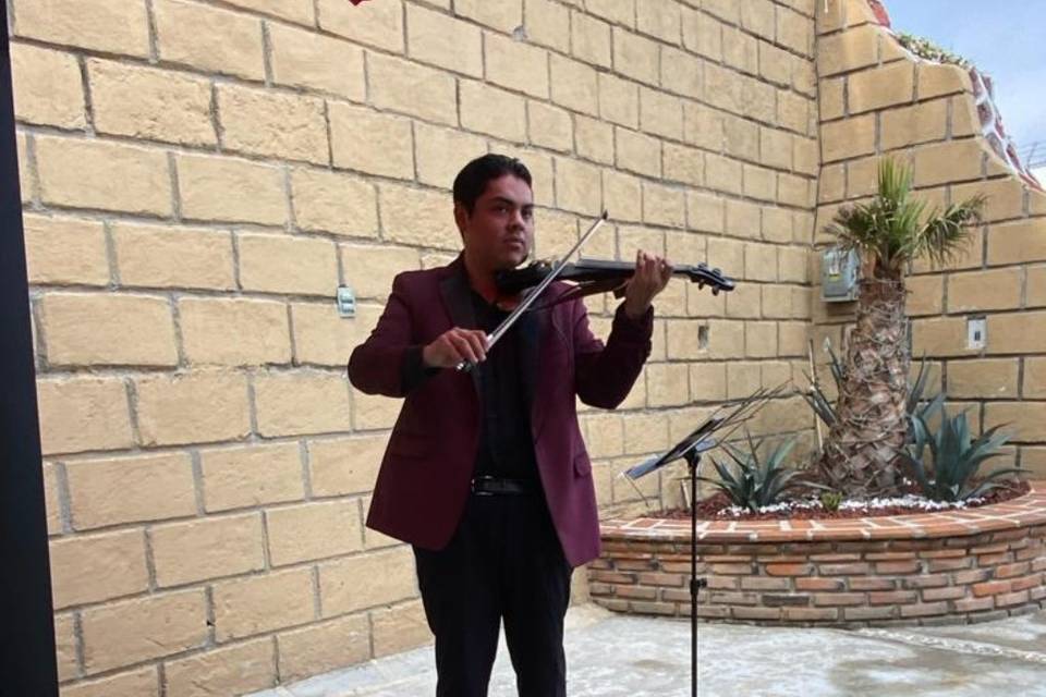 Violinista