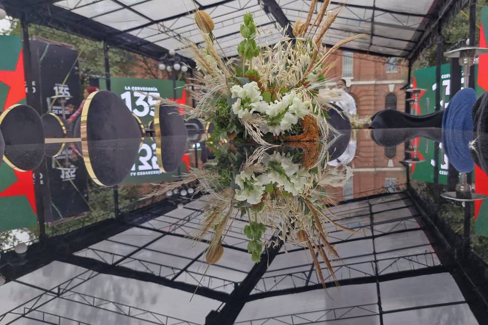 Carpa transparente Gigante Pre
