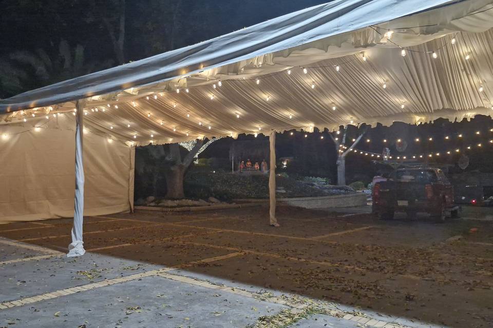 Carpa Petit 6×12 m con cielo p