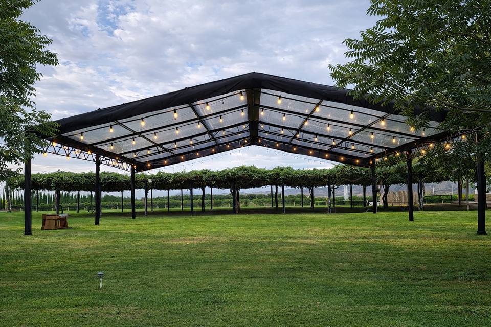 Toldo Trans con Iluminación Es