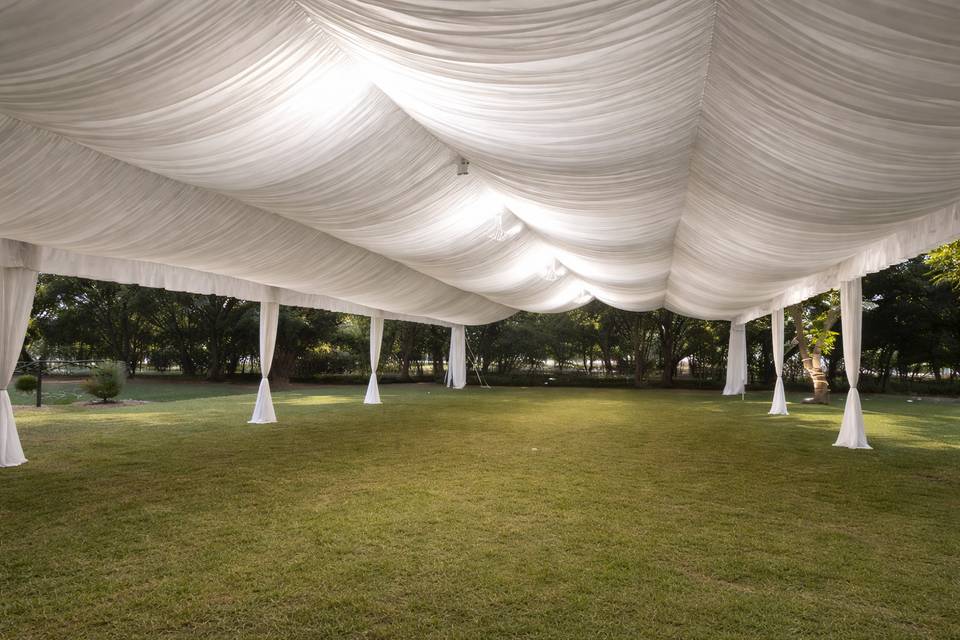 Classic Standar 10x20m