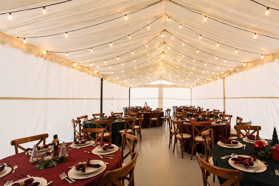 Carpa Petit 6×12 m con ciel