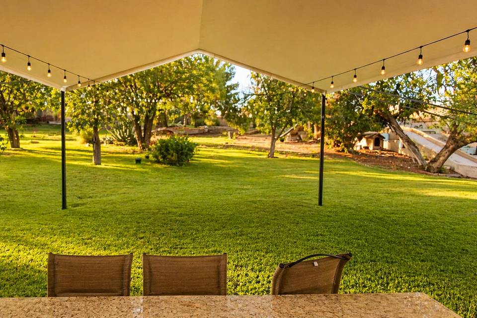 Carpa Petit 6×12 m con ciel