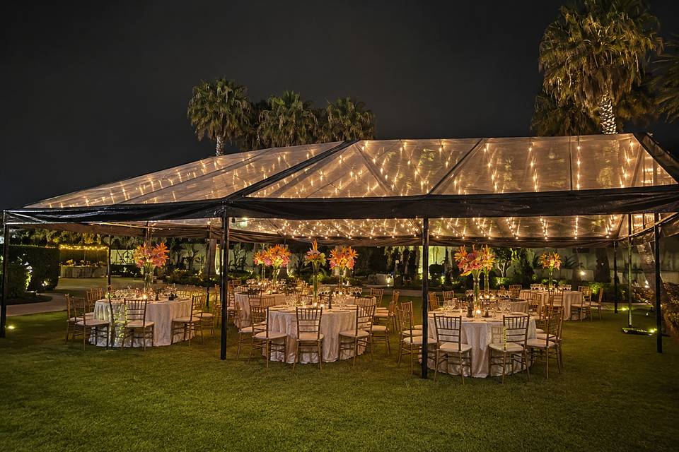 Toldo Classic Standar 9 Transp