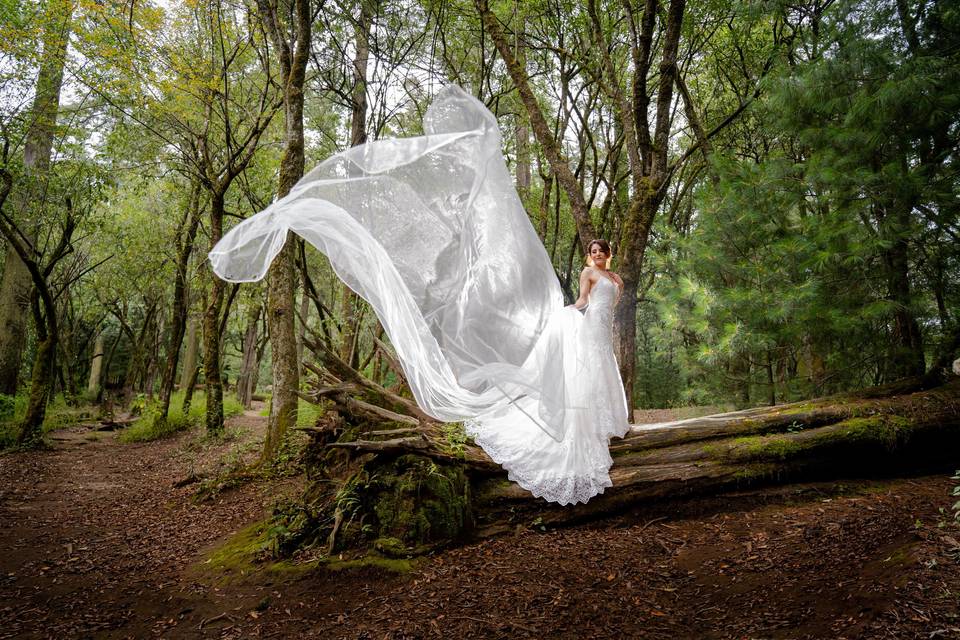 Trash the dress