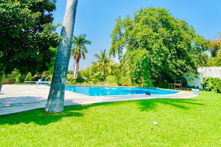Jardín