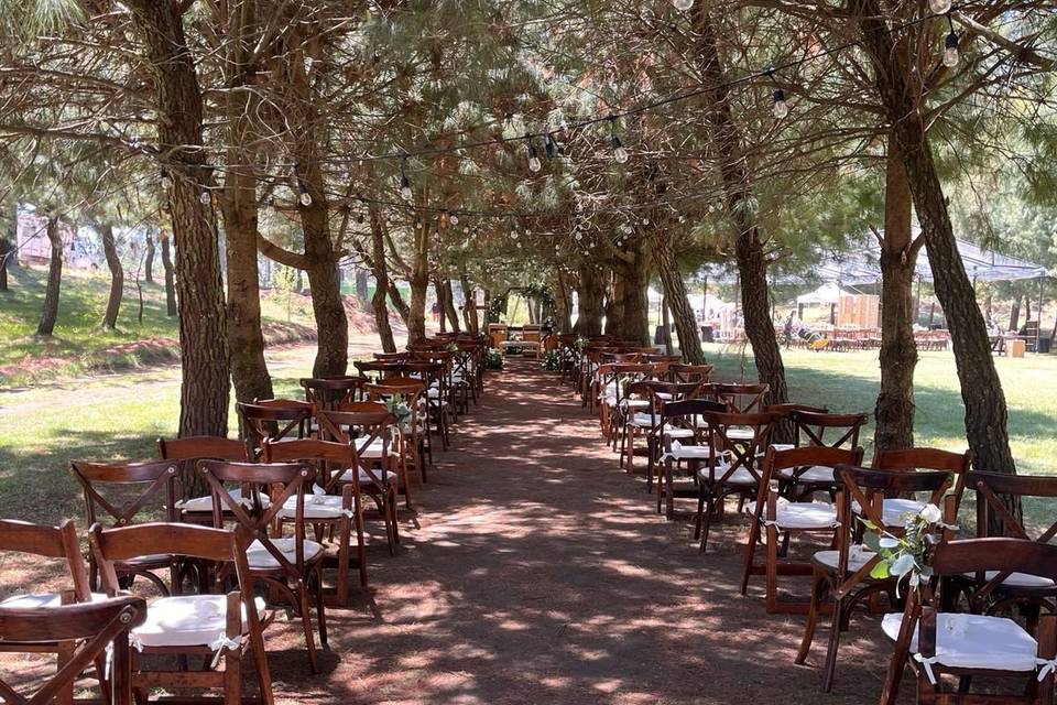 Camino al altar