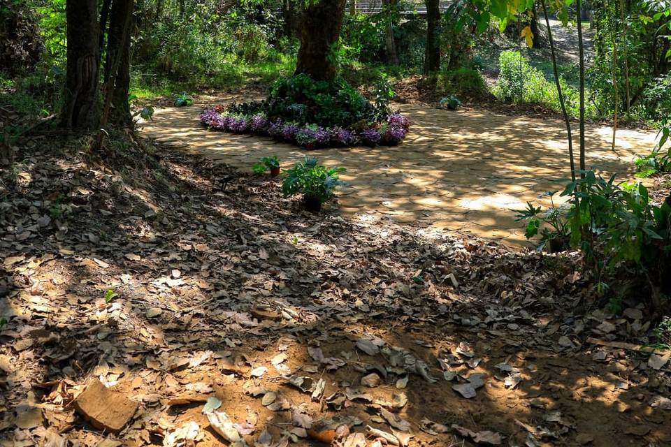Tu boda en el bosque!
