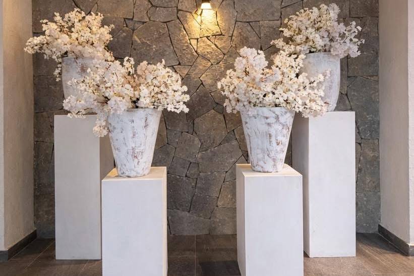 Muro recepcion