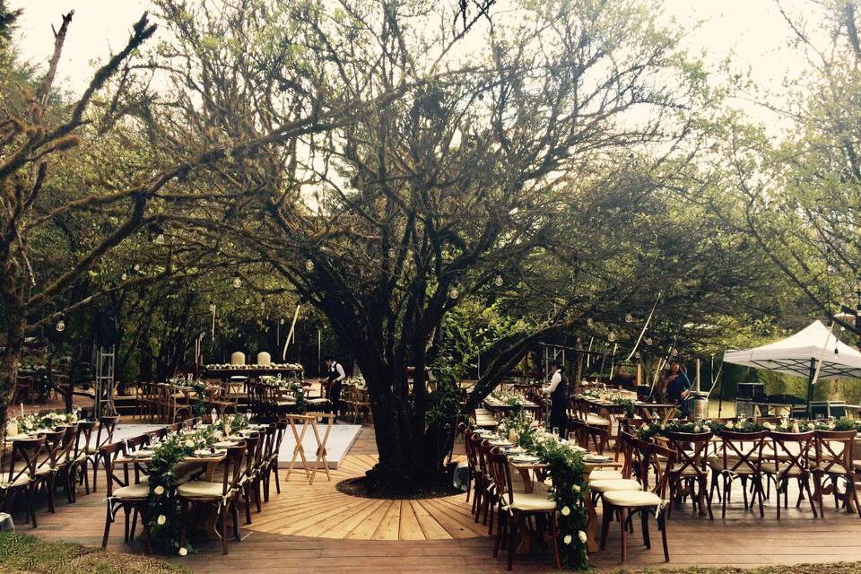 Bodas elegantes