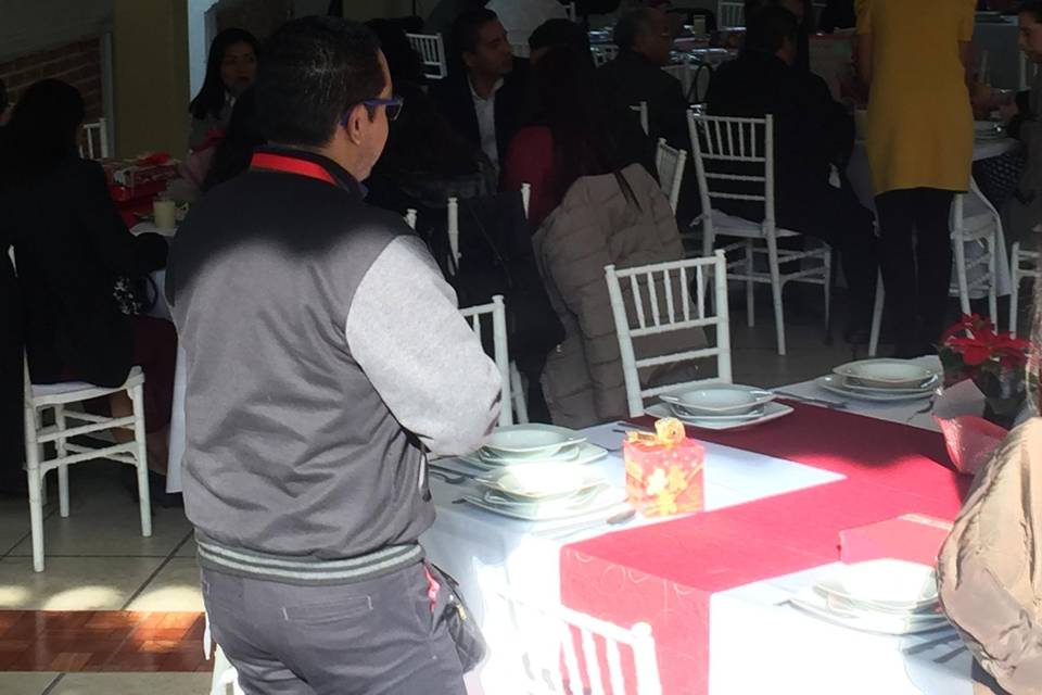 Se adaptan al espacio