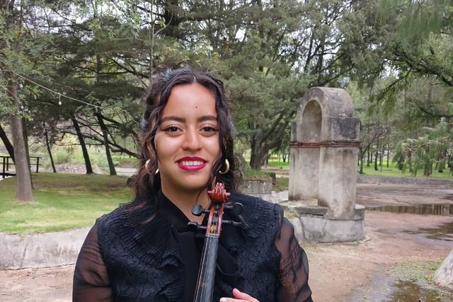 Andrea's Violin Journey