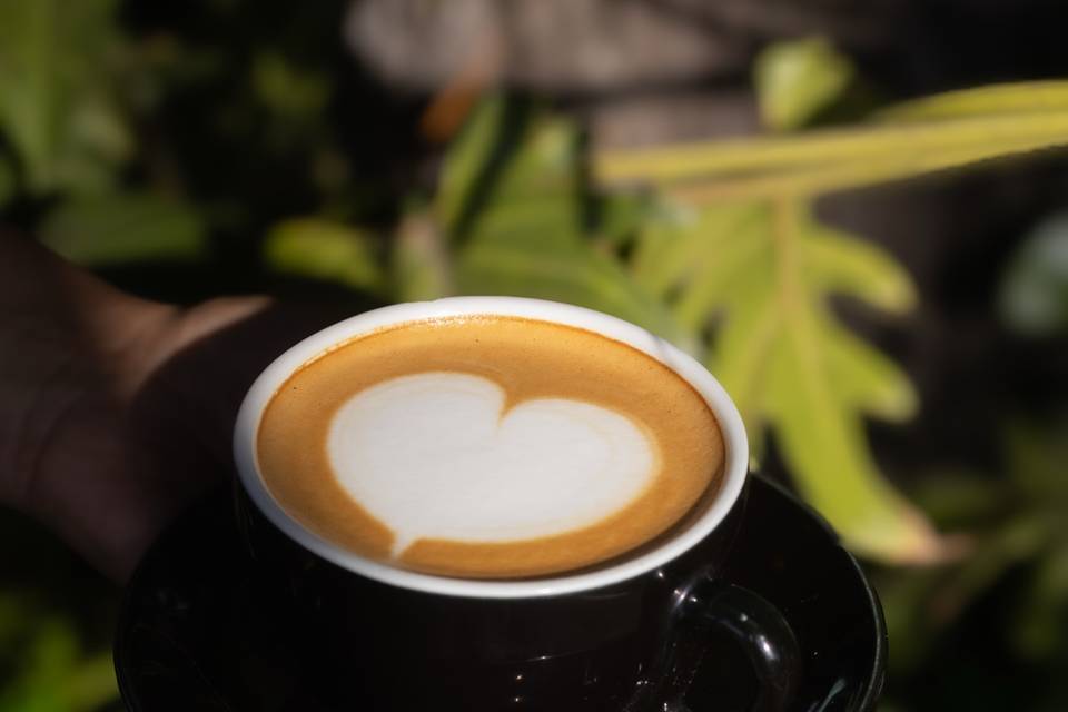 Ingrato Café