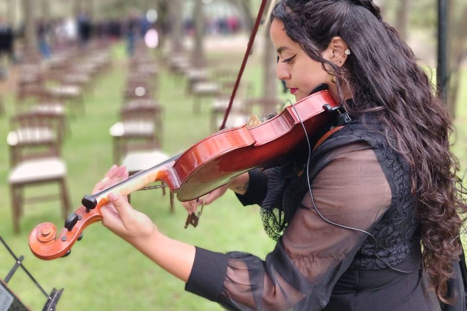 Tocando en la salida de los no