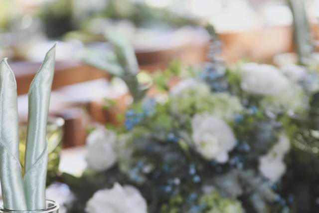 Premier Eventos Oaxaca