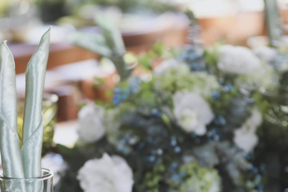 Premier Eventos Oaxaca