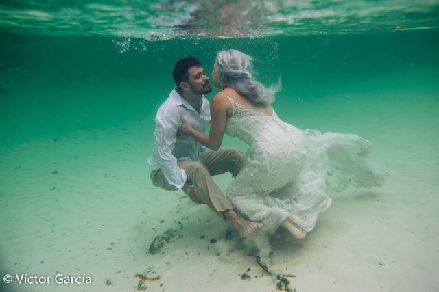 Trash the Dress