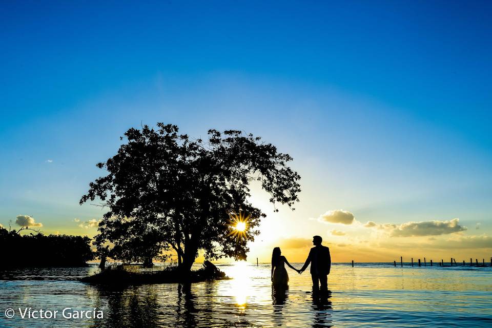 Trash the Dress