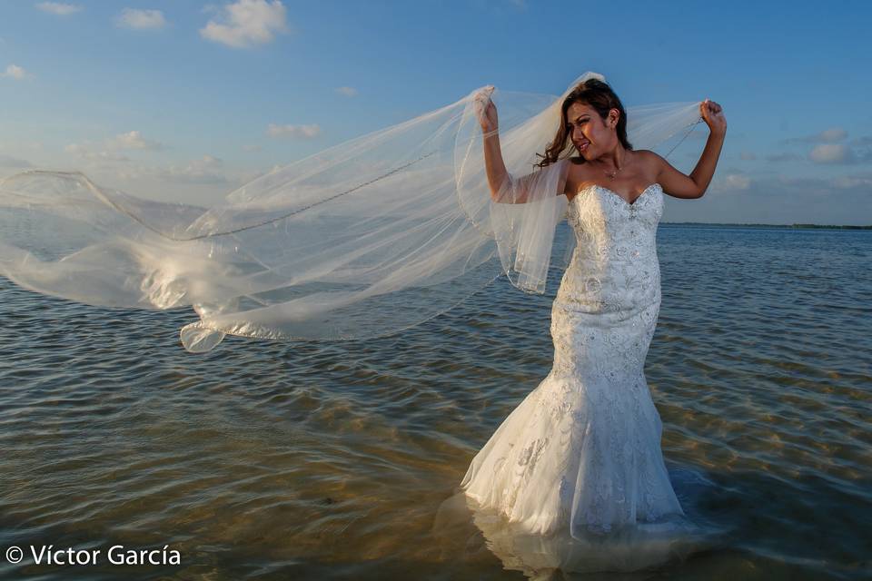 Trash the Dress