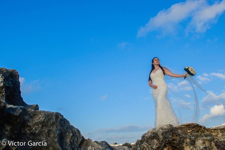 Trash the Dress