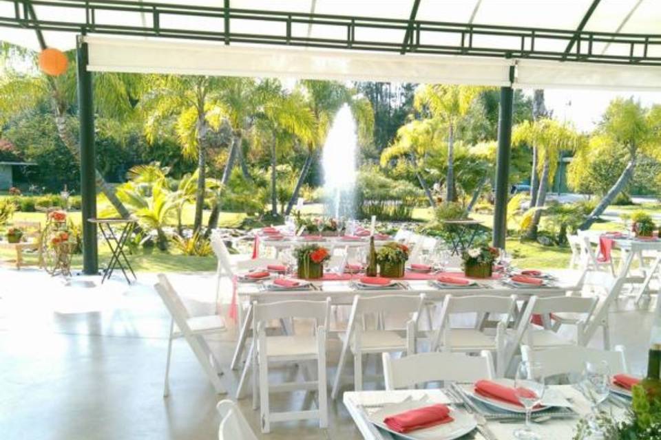 Amora Eventos